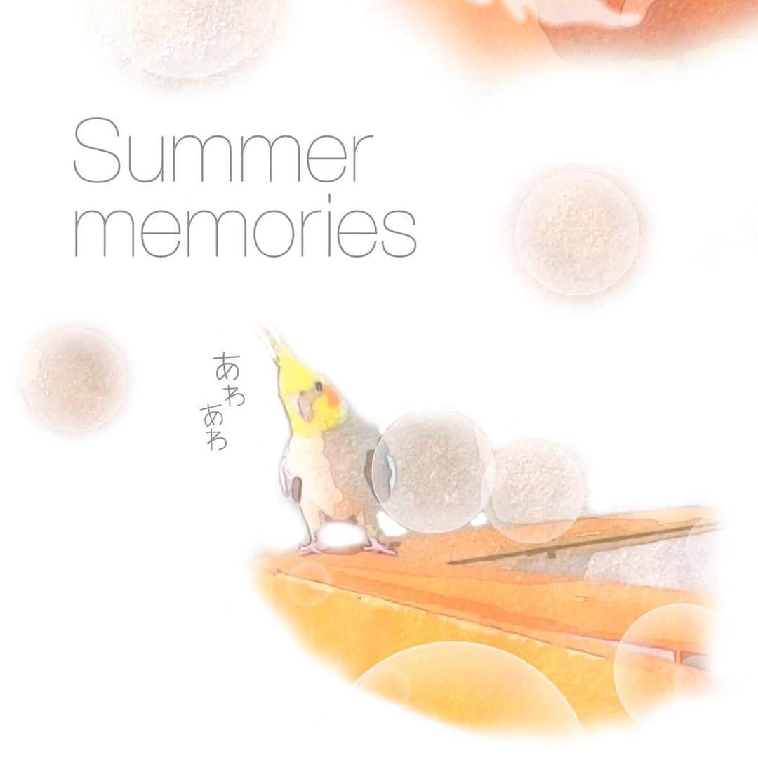 YURAPOi ゆらぽぃさんのインスタグラム写真 - (YURAPOi ゆらぽぃInstagram)「Our Summer Memories 2019 _______  ゆらぽぃの、夏の思い出 2019年みなさんはどんな夏を過ごしていますか🐦⚡️🐤🌻 その1 あわあわな夏」8月18日 19時48分 - ryoichisakai