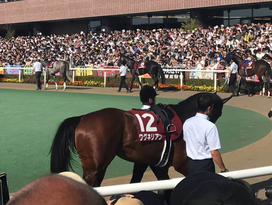 佐藤彩さんのインスタグラム写真 - (佐藤彩Instagram)「楽しかった札幌競馬場🐎  札幌記念のパドックでも、自撮りしちゃいました。 ちょっと遠いけど…笑  札幌記念のゴールもしっかりこの目で🏇 馬女ぶりを発揮しましたよ。笑 お馬さんたち、カッコ良かったなぁ☺️ . . 今日の札幌競馬場には3万人以上の方が集まったそうですね。 日差しが照りつけてジリジリ暑く大変でしたが…みんなでワイワイ楽しかったです😊 さーて、明日からも頑張ろうっと😄 . . そして明日から、というと… HBCラジオ夏の大感謝週間が始まります🌟  それに先立って行われたチカホでのご案内ミニイベント、来てくださった皆さんありがとうございました✨  いよいよ現金128万7千円が当たるキーワードの発表も始まりますし、朝刊さくらいからは、ジンギスカンスペシャルセットのプレゼントもありますよ✨ 毎日3名様に当たりますので、ぜひ番組にご参加くださいね😊  夏の大感謝週間の情報、128万7千円プレゼントの応募フォームはこちら↓ http://www.hbc.co.jp/radio/kansha2019/  #札幌競馬場 #馬女 #UMAJO #札幌記念 #勝ったのは #ブラストワンピース #凱旋門賞へ弾み  #HBCラジオ #hbcradio #夏の大感謝週間 #HBC #アナウンサー #水野善公 アナ #ナルミッツ #佐々木佑花 アナ #ココカラー #堀内大輝 アナ #今日ドキッ #佐藤彩 #朝刊さくらい」8月18日 19時51分 - hbc_ayasato