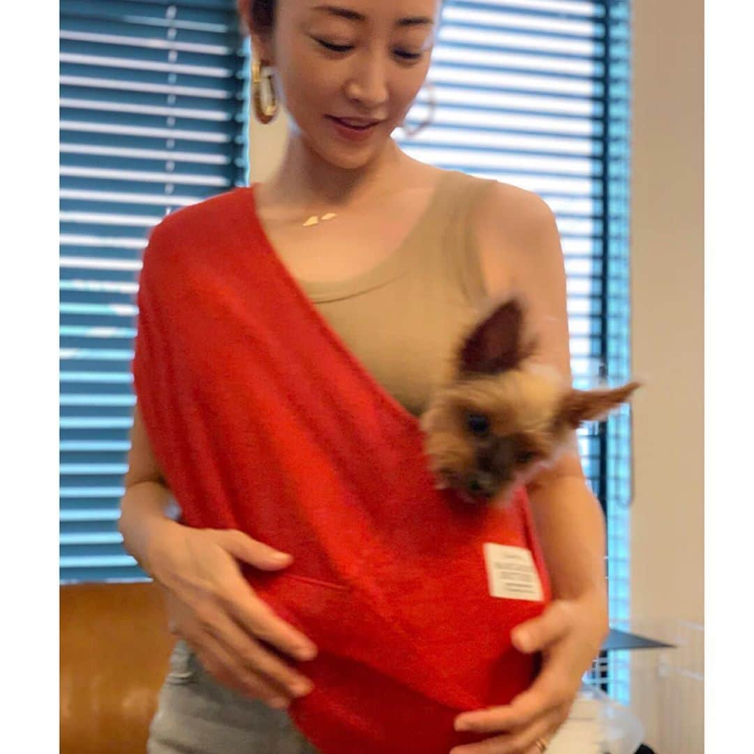 神崎恵さんのインスタグラム写真 - (神崎恵Instagram)「我が家の愛娘🐶 家族みんな元気がいい。 うるさいくらい、元気がいいね。  スリング #マンダリンブラザース」8月18日 19時55分 - megumi_kanzaki