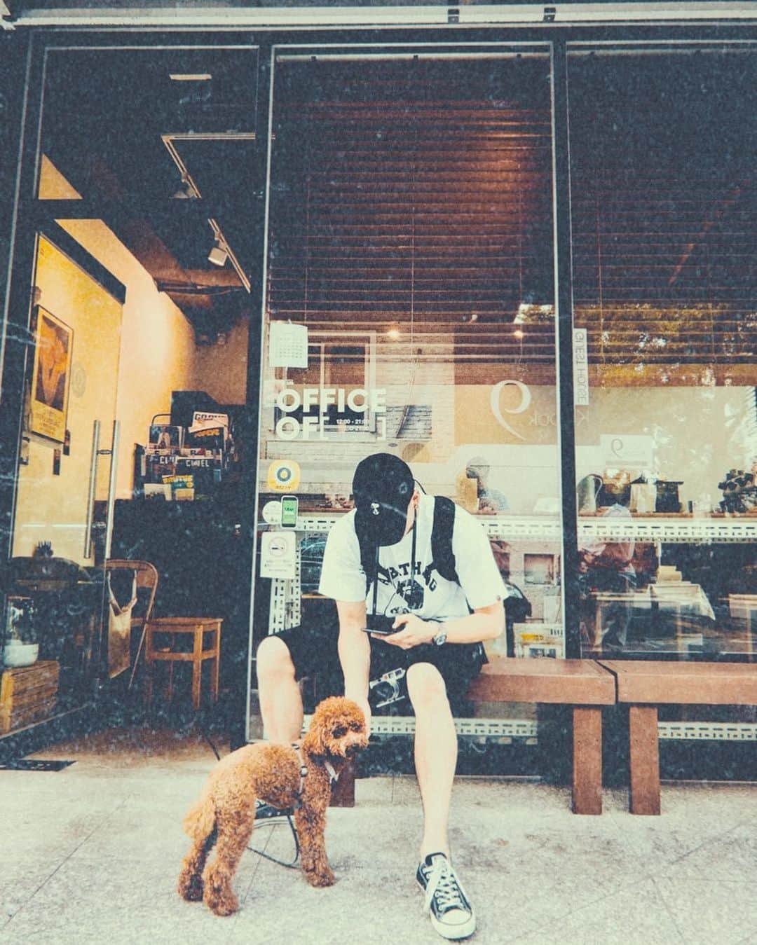 プニエル のインスタグラム：「Met this cutie on the streets~  길거리에서 이 귀요미 마주침~」