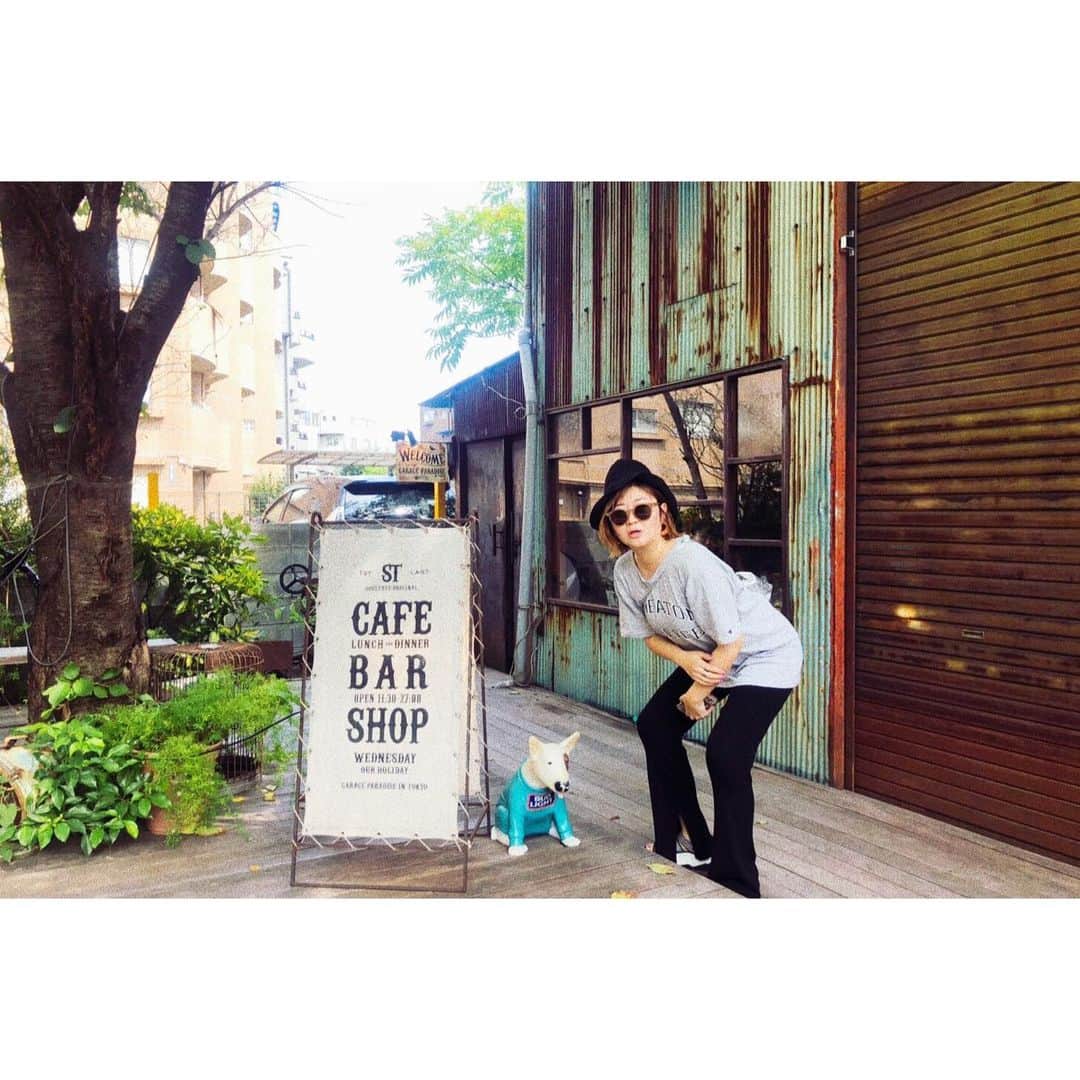 トリイクニコのグルメインスタ