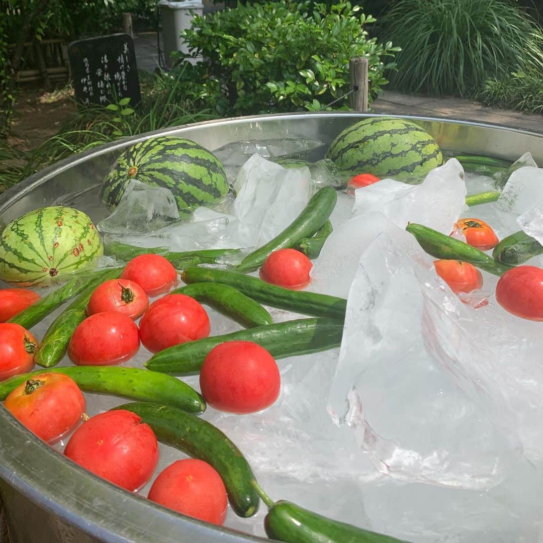 橋本昌彦のグルメインスタ