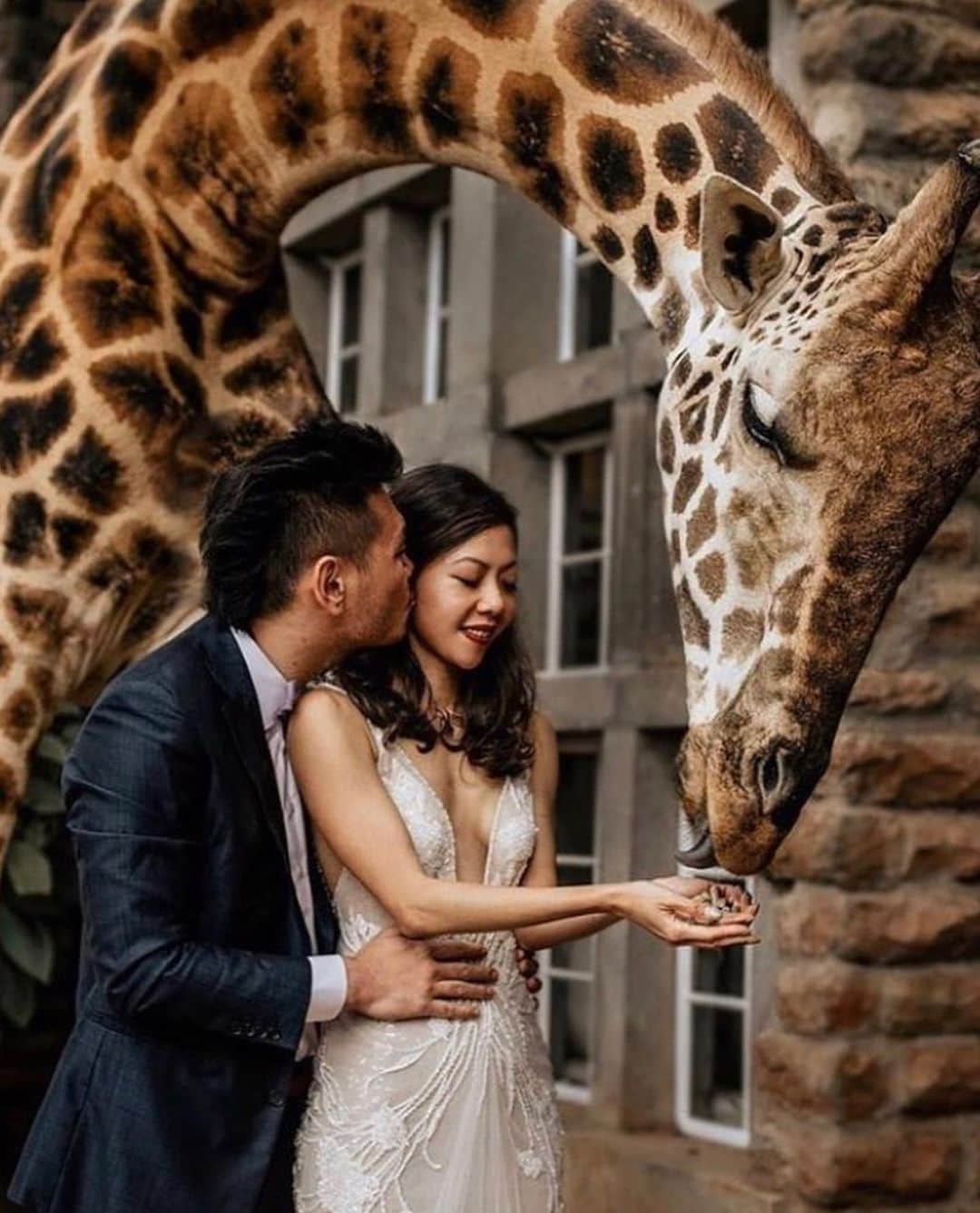 BERTAさんのインスタグラム写真 - (BERTAInstagram)「When a giraffe photobombs your wedding 😘 #BertaBride @theadventuresofthebs pictures @chrisandruth」8月18日 20時20分 - berta