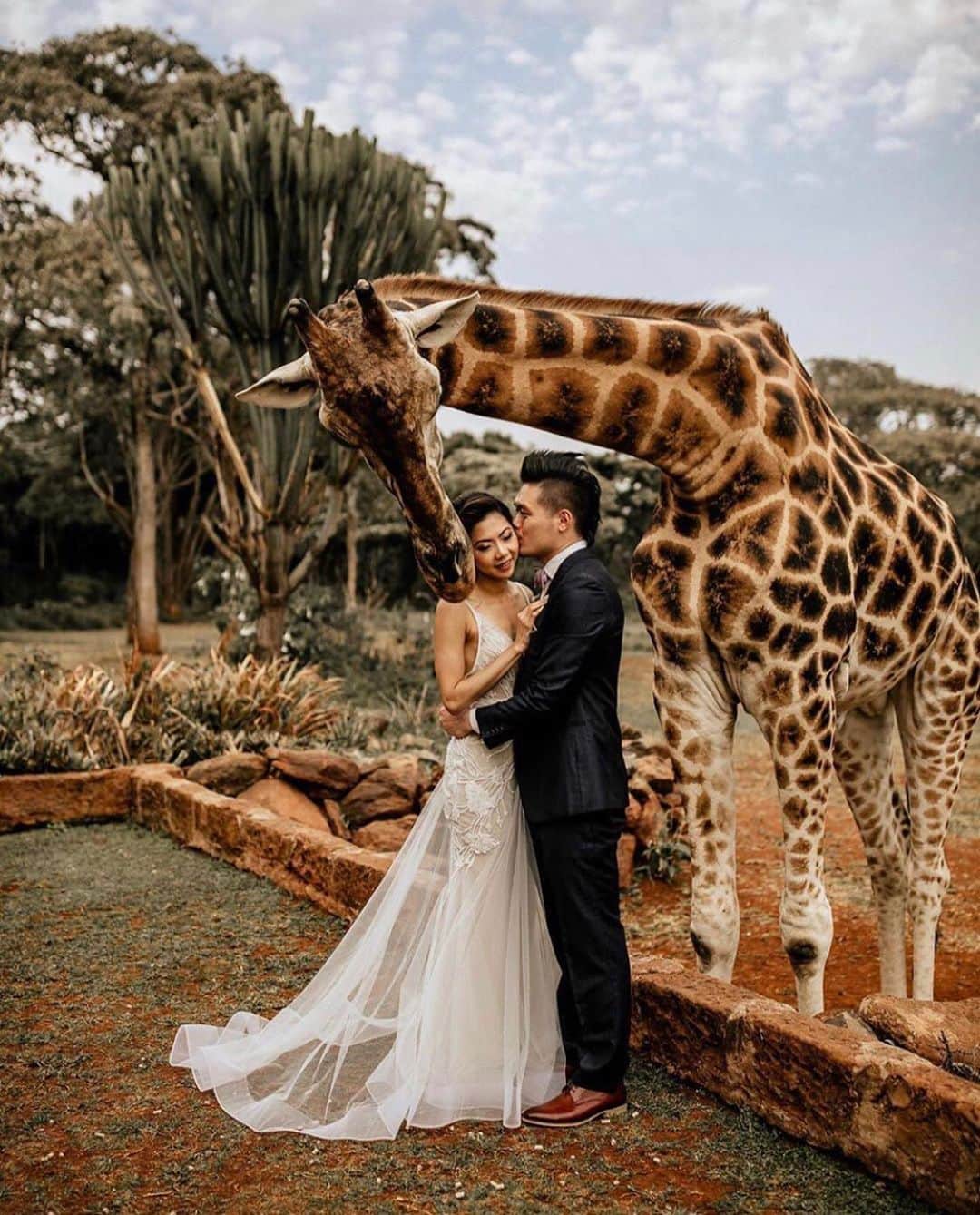 BERTAさんのインスタグラム写真 - (BERTAInstagram)「When a giraffe photobombs your wedding 😘 #BertaBride @theadventuresofthebs pictures @chrisandruth」8月18日 20時20分 - berta
