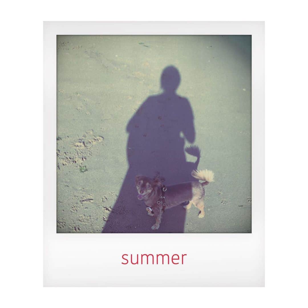 河原洋美さんのインスタグラム写真 - (河原洋美Instagram)「お休みありがとうございました。 就職してからはじめてのお盆に夏休み。 家族とたっぷりお休みを過ごせました✨明日からまたhappyでお待ちしてまーす❤️ 自分からしっぽが生えたみたい🐕 #夏休み #summer #hiromihair」8月18日 20時35分 - cyorobinthkey