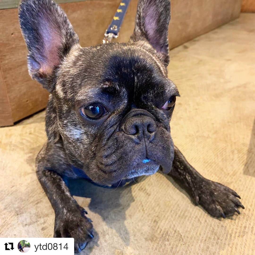 HeyCoffeeのグルメインスタ