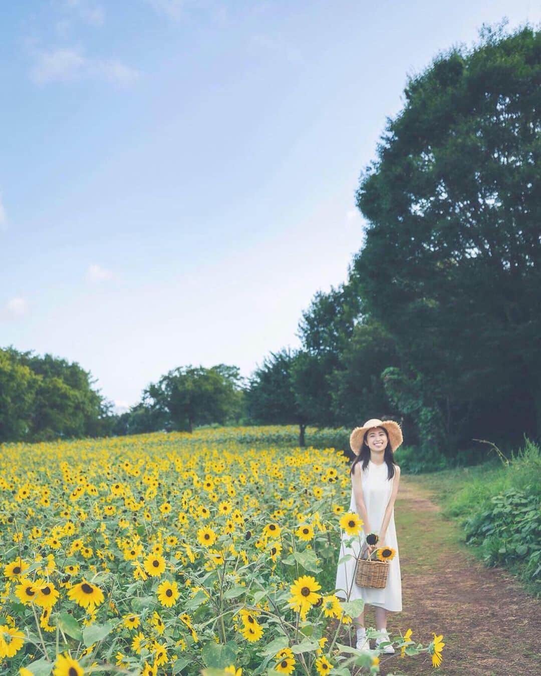 mikicoco00のインスタグラム：「* * * ひまわりを見に行った日🌻 * 蚊に40ヶ所程刺されてしまったけど... いい思い出😂🙃 * * * * * #ひまわり#色んな方向 #ひまわり畑 #黄色#麦わら帽子  #flower#summer#onepiece  #昭和記念公園 #夏満喫#お盆」