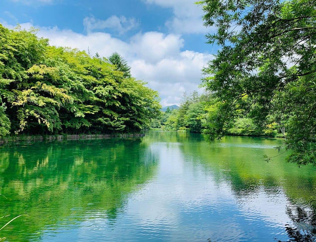 会田幸恵さんのインスタグラム写真 - (会田幸恵Instagram)「いつ来ても美しい雲場池。 夏休みは今日でおわり。 明日からまたがんばりまっしょい！  #軽井沢  #雲場池」8月18日 21時19分 - yukie.aida