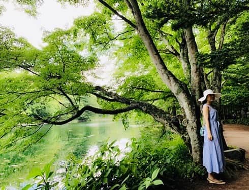 会田幸恵のインスタグラム：「いつ来ても美しい雲場池。 夏休みは今日でおわり。 明日からまたがんばりまっしょい！  #軽井沢  #雲場池」