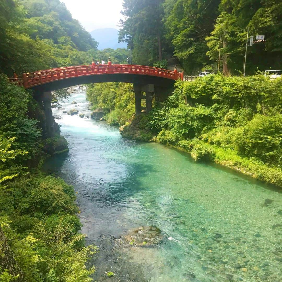 下門美春さんのインスタグラム写真 - (下門美春Instagram)「お盆に帰れなかったので週末、栃木の実家に帰省してきた！😃✨ 栃木はやることがないので、 バッセンと日光へ。 日光涼しかったー！✨ 美味しいものもいっぱいあるのでぜひ！ #帰省 #日光 #日光プリン #そっぽ焼き #輪王寺 #バッティング #アーム式は難しい #スラップ #勢いを殺せないバント も #久しぶりにやってみた #実はセーフティーバントスラップやって足で出塁するバッターなので #フリーで打つほうが珍しい人」8月18日 21時19分 - 38shimo