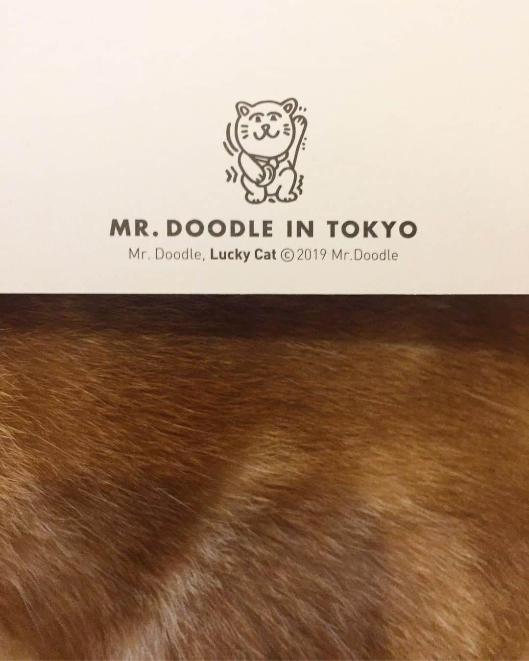 にゃんすくんさんのインスタグラム写真 - (にゃんすくんInstagram)「Doodle Tokyo!! I❤︎mr.Doodle!! 大好きなアーティストの個展👩‍🎨 しかもサインまで！似顔絵的な感じに描いてくれた！マンモスうれぴー。 最高の1日だった。 . #mrDoodle #ミスタードゥードゥル #代官山ヒルサイドテラス」8月18日 21時40分 - nyasuyama