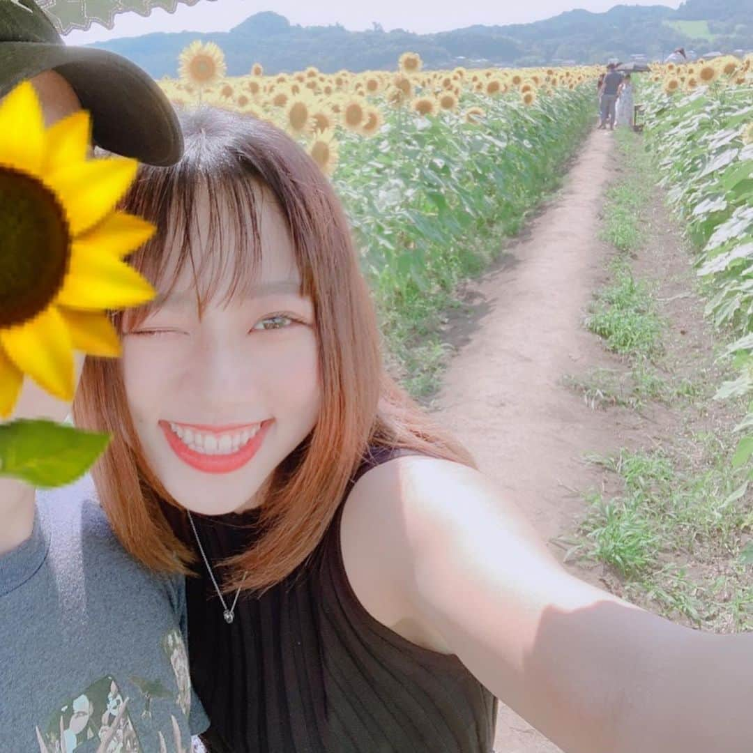 Risaさんのインスタグラム写真 - (RisaInstagram)「. . . 🌻🌻🌻 . . . 行きたかったひまわり畑🌻 . . . 一面ずっーとひまわりで凄かった😂 . . . 場所は栃木の益子だよ！ . . そのあとに日光行ったけど とりあえず川綺麗すぎてびっくりした。 . . . . #栃木旅行 #ひまわり畑 #益子町ひまわり祭り  #夏の思い出 #ちょっと夏バテ気味  #sunflower #ひまわりお持ち帰り」8月18日 21時50分 - _ichigosukipi