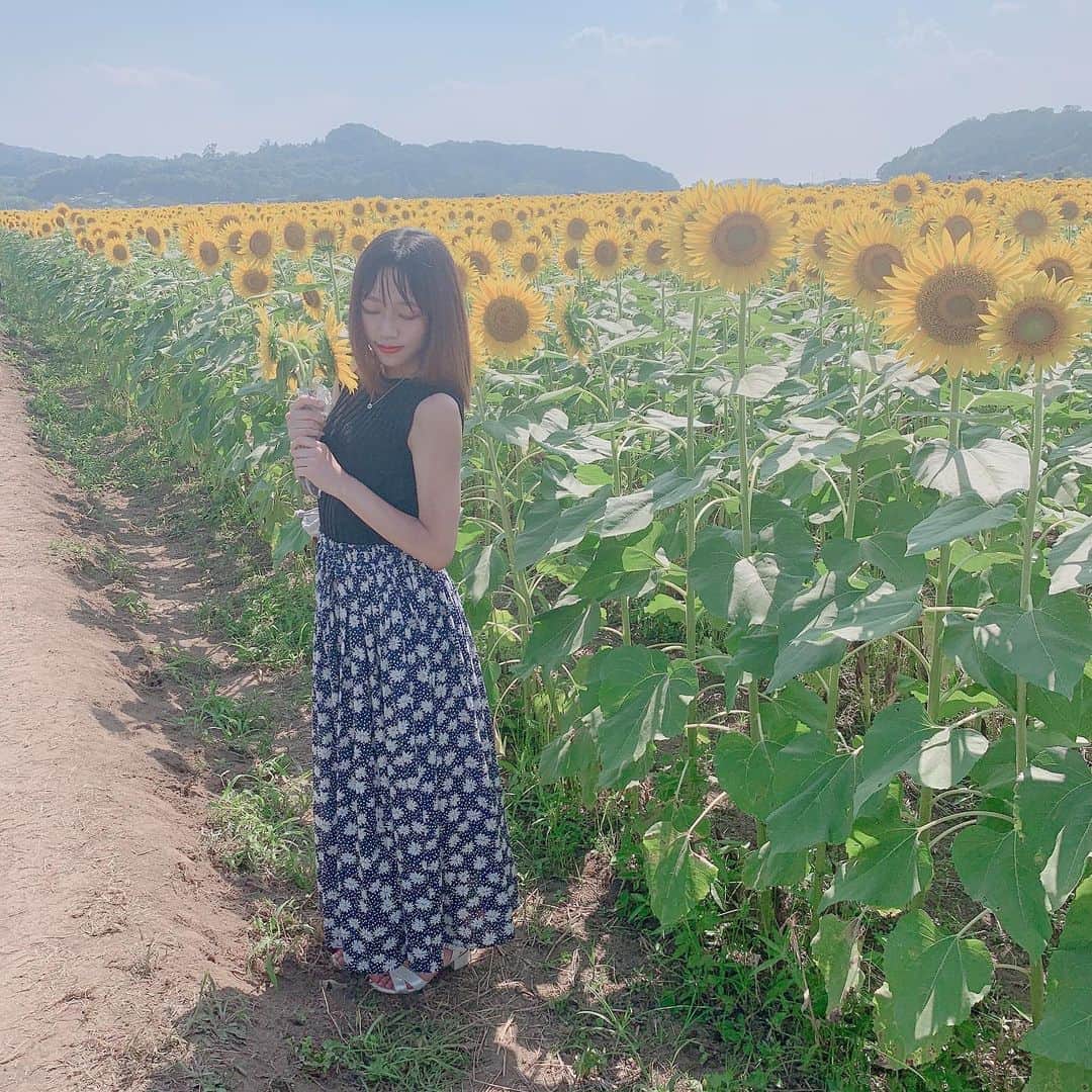 Risaのインスタグラム：「. . . 🌻🌻🌻 . . . 行きたかったひまわり畑🌻 . . . 一面ずっーとひまわりで凄かった😂 . . . 場所は栃木の益子だよ！ . . そのあとに日光行ったけど とりあえず川綺麗すぎてびっくりした。 . . . . #栃木旅行 #ひまわり畑 #益子町ひまわり祭り  #夏の思い出 #ちょっと夏バテ気味  #sunflower #ひまわりお持ち帰り」