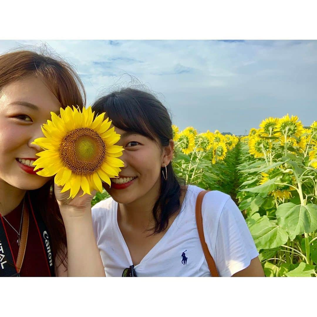 榎本遼香さんのインスタグラム写真 - (榎本遼香Instagram)「ヒマワリ2019🌻 すんごいエネルギー！ 岡の楽しそうな笑顔のおかげで充電完了です🙆🏻‍♀️ #益子ひまわり祭り #久々にツッコミ役になりました #白黒コンビ  #栃木県 #良いところあるじゃん栃木県」8月18日 21時58分 - eno_mon