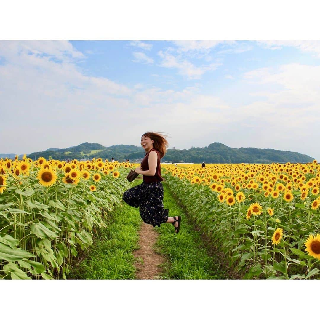 榎本遼香さんのインスタグラム写真 - (榎本遼香Instagram)「ヒマワリ2019🌻 すんごいエネルギー！ 岡の楽しそうな笑顔のおかげで充電完了です🙆🏻‍♀️ #益子ひまわり祭り #久々にツッコミ役になりました #白黒コンビ  #栃木県 #良いところあるじゃん栃木県」8月18日 21時58分 - eno_mon