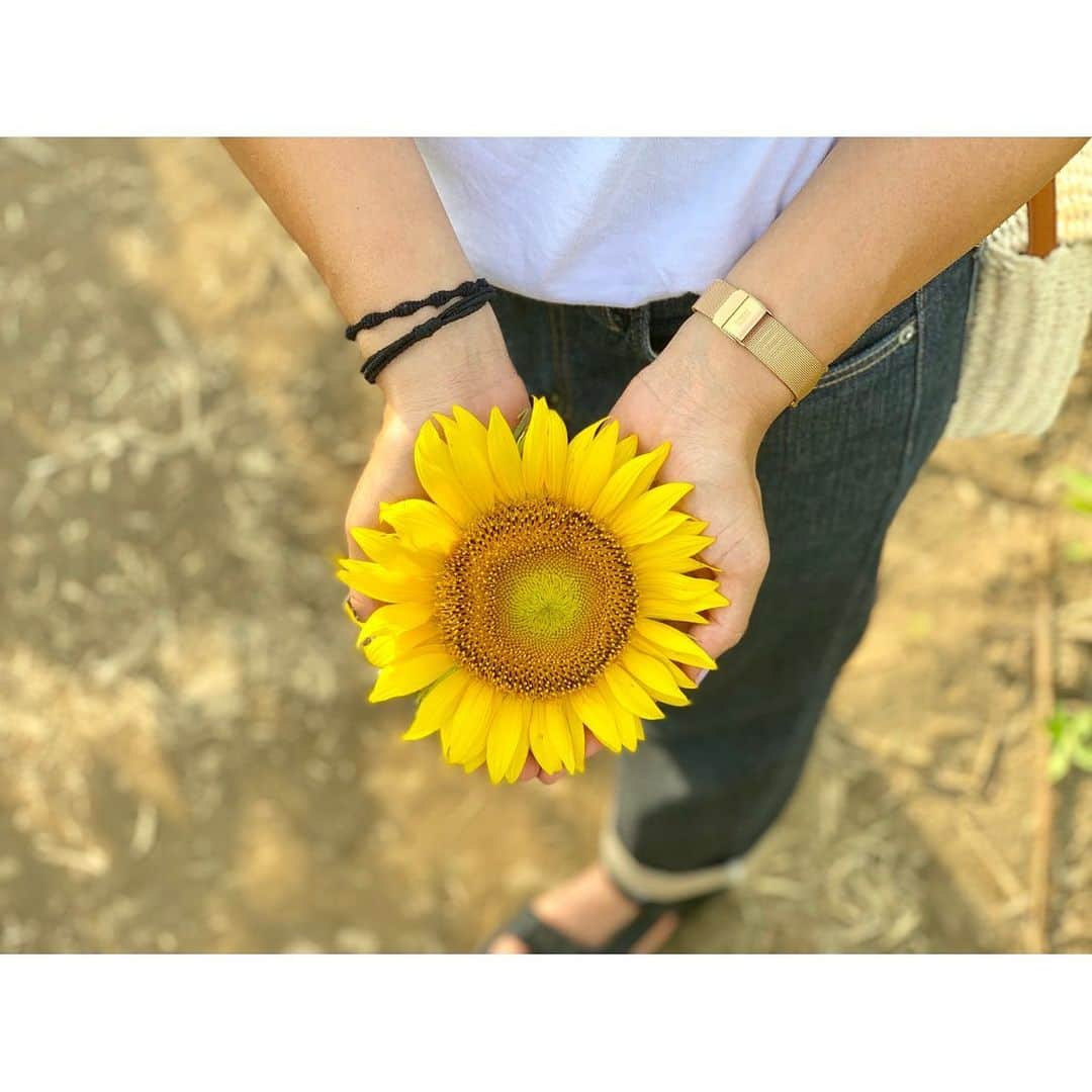 榎本遼香さんのインスタグラム写真 - (榎本遼香Instagram)「ヒマワリ2019🌻 すんごいエネルギー！ 岡の楽しそうな笑顔のおかげで充電完了です🙆🏻‍♀️ #益子ひまわり祭り #久々にツッコミ役になりました #白黒コンビ  #栃木県 #良いところあるじゃん栃木県」8月18日 21時58分 - eno_mon