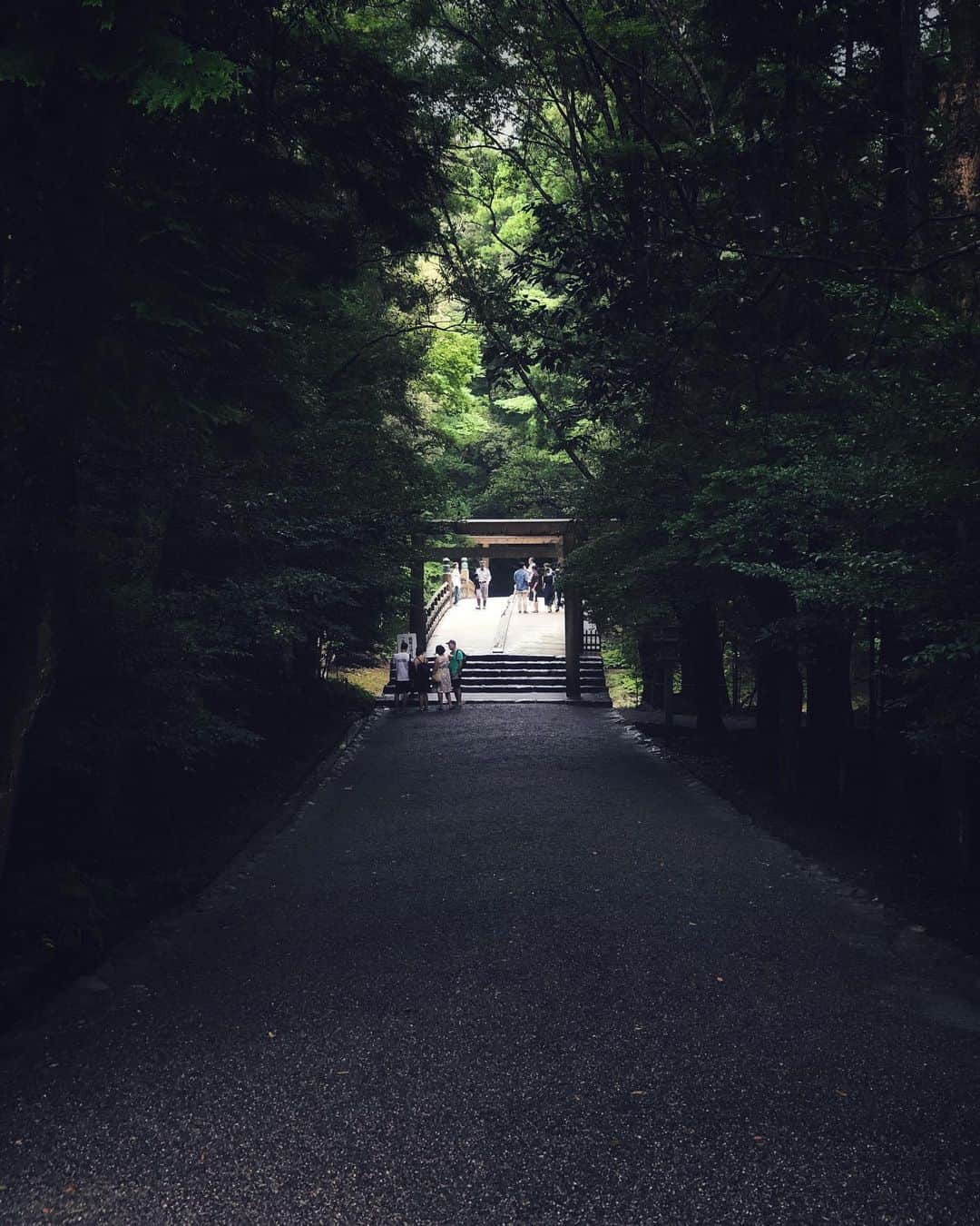 ima_ju / Jun Iのインスタグラム：「. . Sacred Corridor ⛩ . . wiz @tokyo_grapher #ShotOn_TG #IseShimaAround . Telephoto LENS 50mm　 #TG_TELE . . ::」