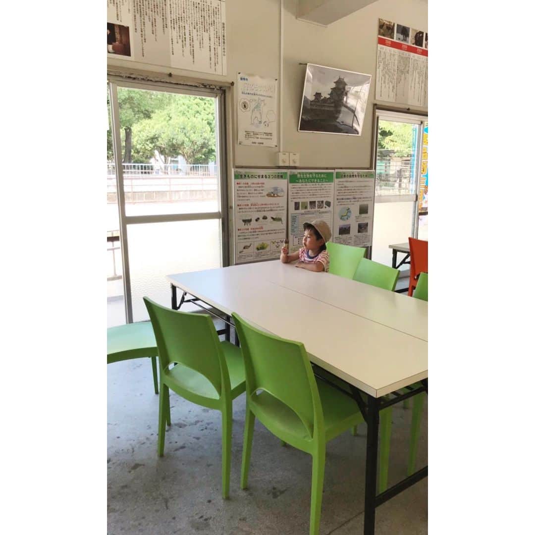 壺坂恵のインスタグラム：「#泥棒田ドロヲ お墓参りとアイスクリーム」