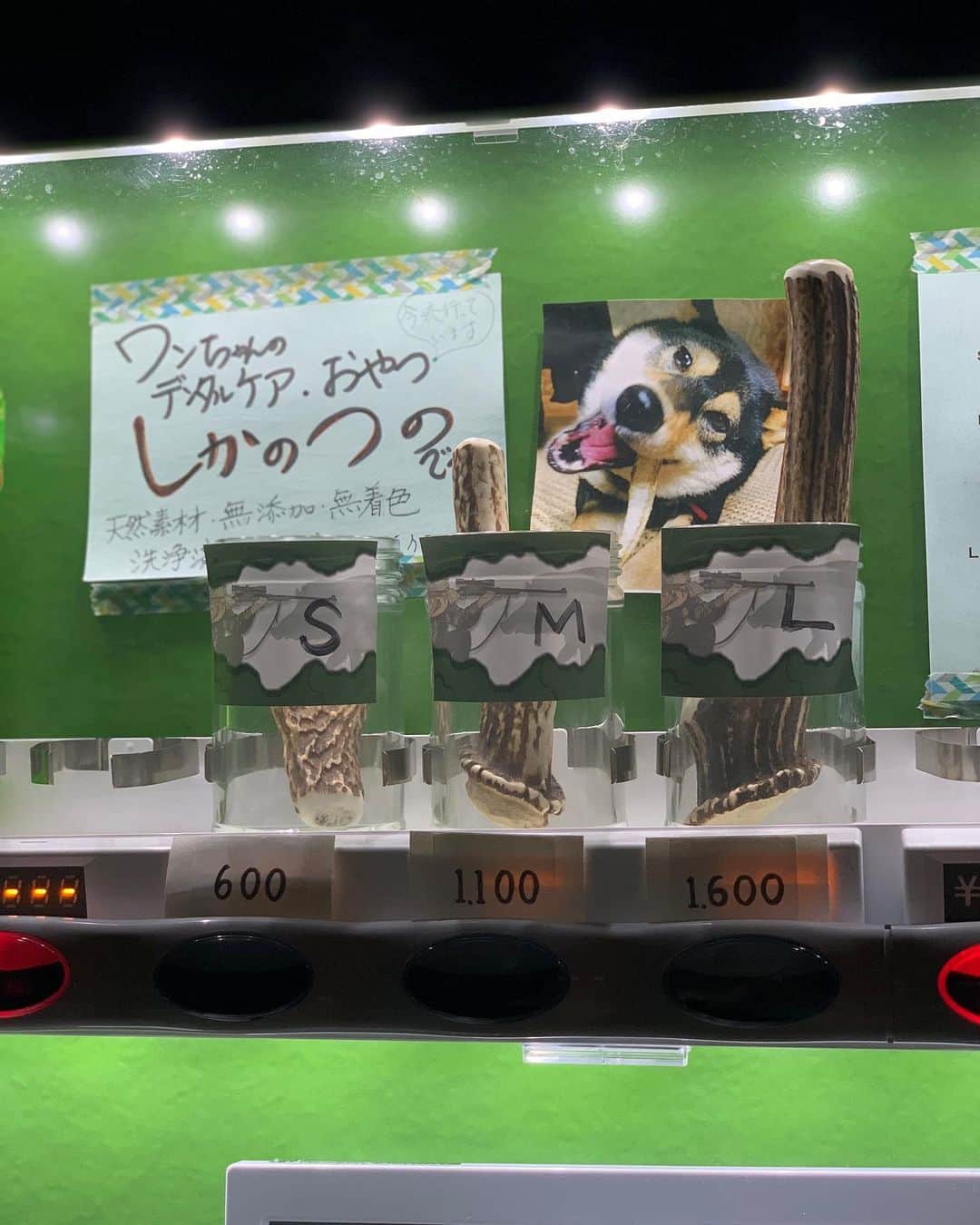 のインスタグラム：「鹿の角が自販機で売ってた😳 #徳島すごい」