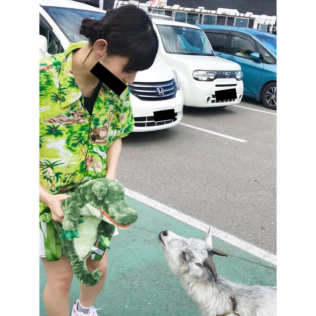 大場はるかさんのインスタグラム写真 - (大場はるかInstagram)「1.おやつあげゾーンでの大きい動物のイジリー岡田さん並みの舌使いにビビってる 2.ヤギさんに弱肉強食を教え込んでる元ヤンの娘 3.うさぎ可愛い 4.ワニが頂きますしてる 5.トラに生肉あげたいって調べてたの那須サファリパークじゃなくて富士サファリパークの間違いだった (那須でも時間によってできたけど…悔しい…) この四つのポイントに注目していただきたい。」8月18日 23時06分 - oobaharuka