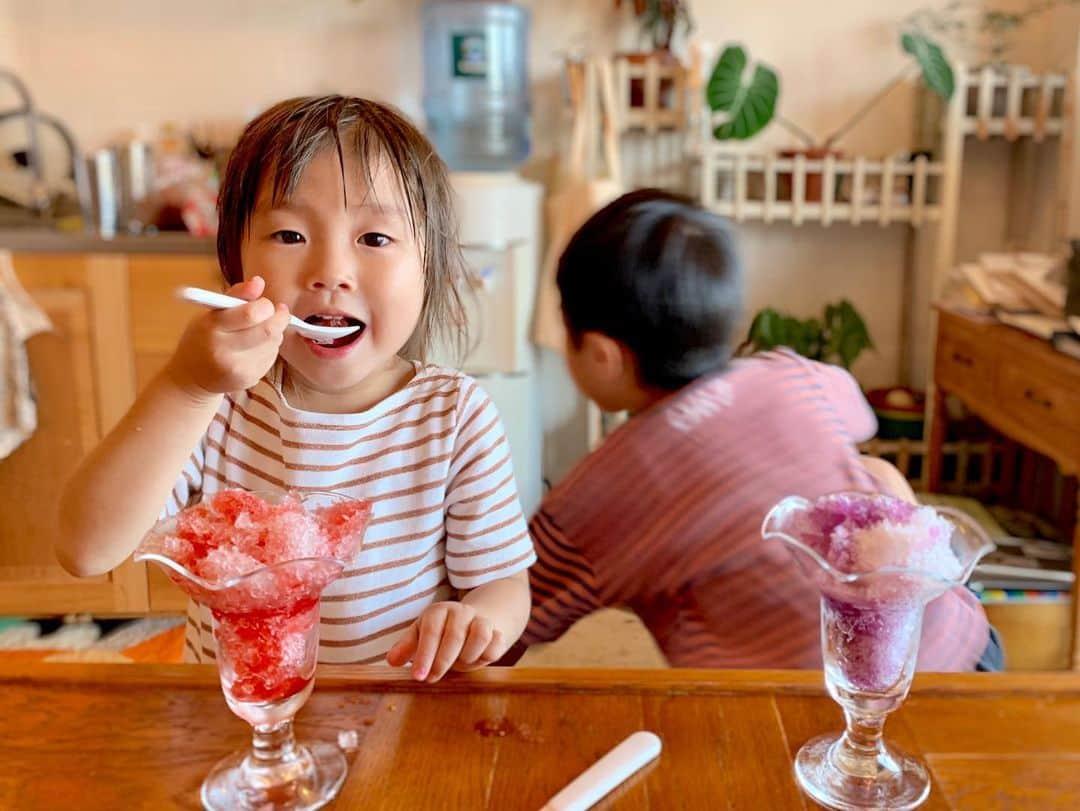 坂本美雨さんのインスタグラム写真 - (坂本美雨Instagram)「セコムはぶどう、﻿ なまこはいちご。﻿ ﻿ "ちょっとちょうだい"﻿ "そっちもひとくちちょうだい”﻿ ﻿ …幸せだねぇ。﻿ ﻿ #セコムとなまこ の夏。﻿ #今日のセコム﻿ #今日のなまこちゃん」8月18日 22時59分 - miu_sakamoto