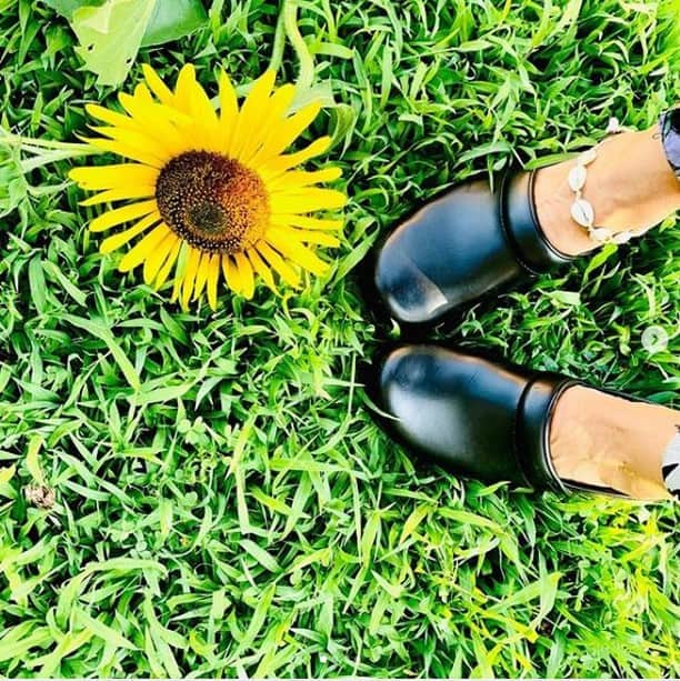 ダンスコさんのインスタグラム写真 - (ダンスコInstagram)「Clogs just wanna get sun. Thanks to @amandadeni for the awesome pic! . . . #dansko #instalove #clogs #shoes #danskos #justyourfavorites #instagood #danskostyle #comfort #newshoes」8月18日 23時14分 - dansko