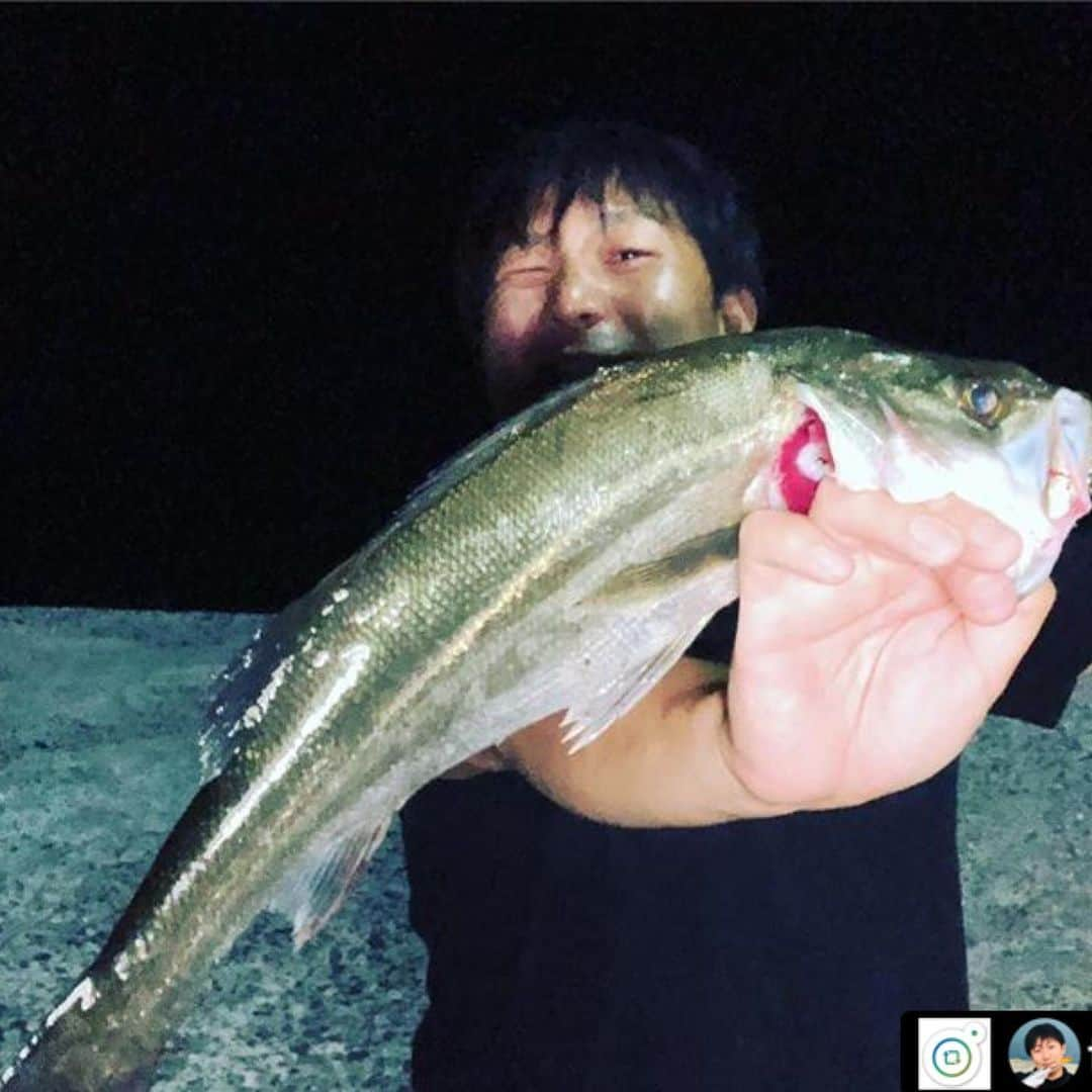 金丸竜児さんのインスタグラム写真 - (金丸竜児Instagram)「発売までもう少し！ RUDIE’S「魚子バイブ」🐟 小さいのにブルブル〜と操作感がすごい伝わってきます❗️ この日は堤防の際をタダ巻きしてると1発でシーバスが引ったくってくれました🐟何でも釣れるからとにかくアタリが多い印象です☝️ 何とかアジングタックルで獲れました（笑） ・ #魚子バイブ #RUDIES #マイクロ #何でも釣れる #メタルバイブ  #TSURIHACK #APIA #GRANDAGE #ルアー #ルアーフィッシング #釣り好き #釣りスタグラム #イカ釣り #釣り女子 #釣魚 #釣りしたい #釣り初心者 #釣り行きたい #釣れた #釣りバカ #釣れない #釣り好きな人と繋がりたい #釣り人 #釣り船 #釣り #釣具 #釣果 #アングラー #魚」8月18日 23時27分 - kanamaru_ryuji