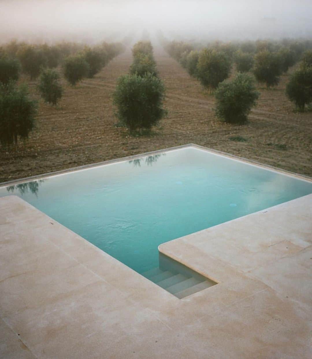 ペニーレ・タイスベックのインスタグラム：「Peaceful Photo by @kolyatsarev」