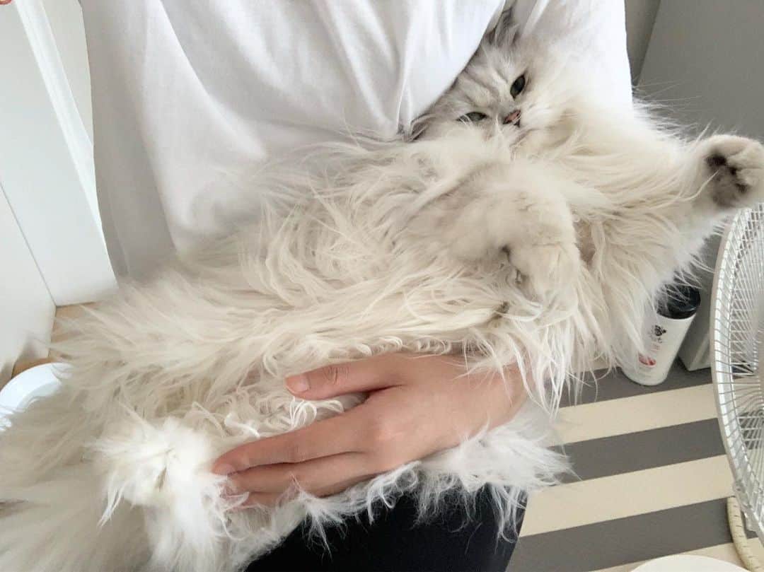 후추네큰언니のインスタグラム：「이 누더기는 모다?」