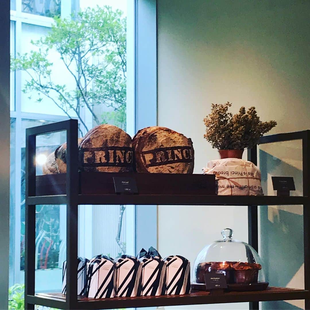 酒井景都さんのインスタグラム写真 - (酒井景都Instagram)「代官山蔦屋に2軒目のスタバがあるのご存知ですか？普通のスタバが混んでたらこちらへ。ものすごい種類のパンとコーヒーの豆にこだわっているのでプリンチブレンドのカフェラテを。スターバックスのコーヒー文化への敬意が伝わります。  2枚目 プリンスというパン見た目クッションみたいに可愛いパン(1000円)アイコニックだからお土産に良い。オリーブオイルと塩🧂が似合うシンプルな味わいです。  #starbuckslover」8月19日 10時50分 - katiiesakai