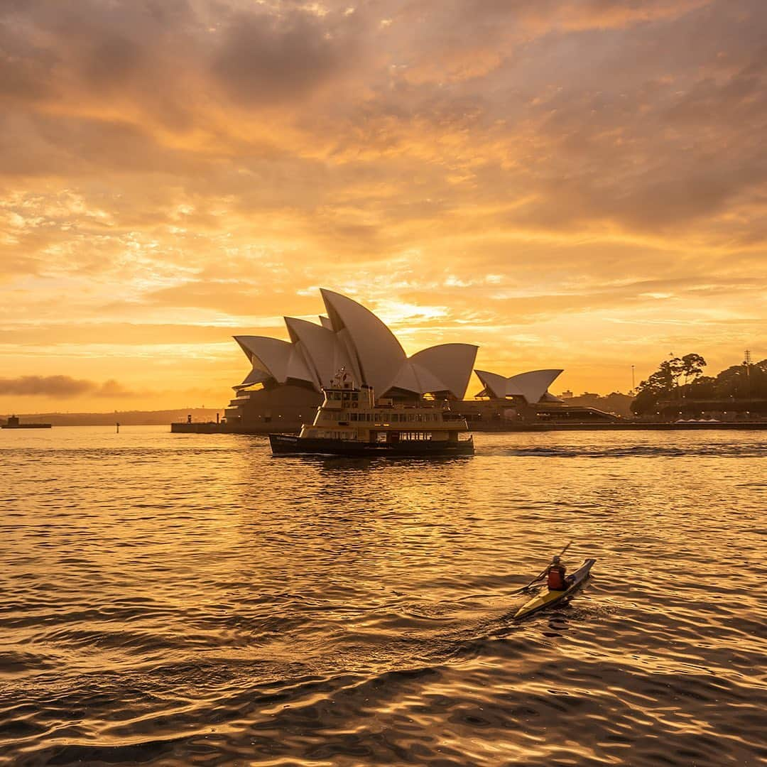 Nikon Australiaさんのインスタグラム写真 - (Nikon AustraliaInstagram)「What’s the most memorable photo you’ve ever taken?  In celebration of #WorldPhotographyDay, we asked members of the Nikon community and our Nikon Ambassadors to share their most memorable images and the story behind capturing it.  From enormous thunderstorms to tiny insects, their images were not only stunning but showcased how different and unique everyone’s approach to photography can be. Read the story behind each image by visiting the link in our bio.  Have your own memorable image? Share it using #MyNikonLife or send us a DM for a chance to be featured.」8月19日 9時24分 - nikonaustralia