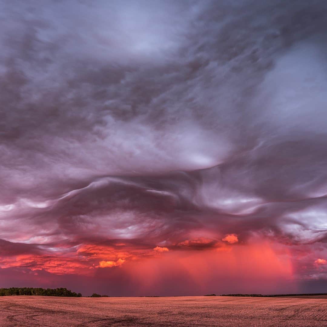 Nikon Australiaさんのインスタグラム写真 - (Nikon AustraliaInstagram)「What’s the most memorable photo you’ve ever taken?  In celebration of #WorldPhotographyDay, we asked members of the Nikon community and our Nikon Ambassadors to share their most memorable images and the story behind capturing it.  From enormous thunderstorms to tiny insects, their images were not only stunning but showcased how different and unique everyone’s approach to photography can be. Read the story behind each image by visiting the link in our bio.  Have your own memorable image? Share it using #MyNikonLife or send us a DM for a chance to be featured.」8月19日 9時24分 - nikonaustralia