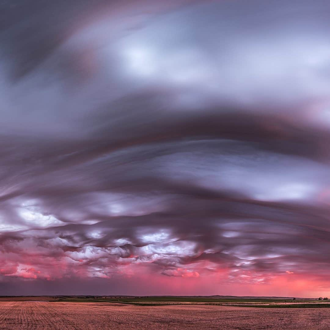 Nikon Australiaさんのインスタグラム写真 - (Nikon AustraliaInstagram)「What’s the most memorable photo you’ve ever taken?  In celebration of #WorldPhotographyDay, we asked members of the Nikon community and our Nikon Ambassadors to share their most memorable images and the story behind capturing it.  From enormous thunderstorms to tiny insects, their images were not only stunning but showcased how different and unique everyone’s approach to photography can be. Read the story behind each image by visiting the link in our bio.  Have your own memorable image? Share it using #MyNikonLife or send us a DM for a chance to be featured.」8月19日 9時24分 - nikonaustralia