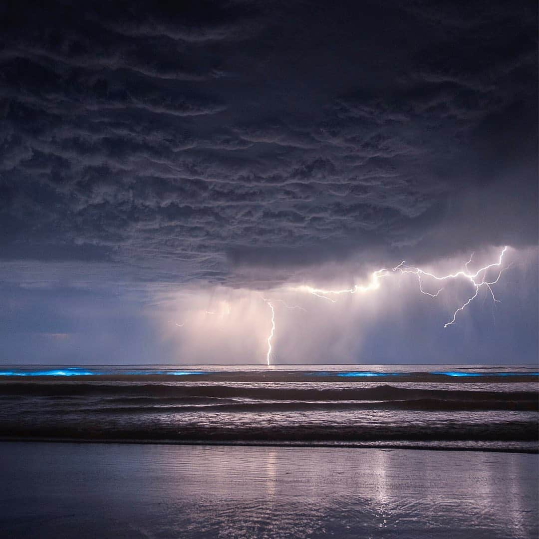 Nikon Australiaさんのインスタグラム写真 - (Nikon AustraliaInstagram)「What’s the most memorable photo you’ve ever taken?  In celebration of #WorldPhotographyDay, we asked members of the Nikon community and our Nikon Ambassadors to share their most memorable images and the story behind capturing it.  From enormous thunderstorms to tiny insects, their images were not only stunning but showcased how different and unique everyone’s approach to photography can be. Read the story behind each image by visiting the link in our bio.  Have your own memorable image? Share it using #MyNikonLife or send us a DM for a chance to be featured.」8月19日 9時24分 - nikonaustralia