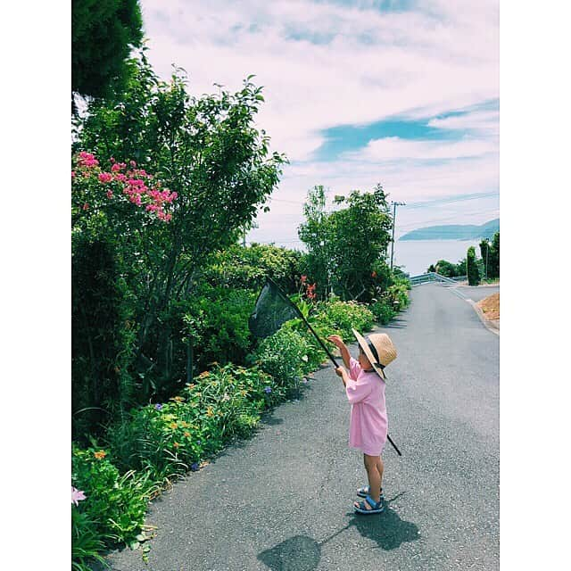 宇藤えみさんのインスタグラム写真 - (宇藤えみInstagram)「僕の夏休み。 蝉やクワガタやクモ。 ミミズやら… 虫がどんどん好きになる。 母も一緒に昔の感覚を思い出してます。 怖いけどw #僕の夏休み#暮らし#日々#成長記録 #男の子ママ」8月19日 9時51分 - emiuto