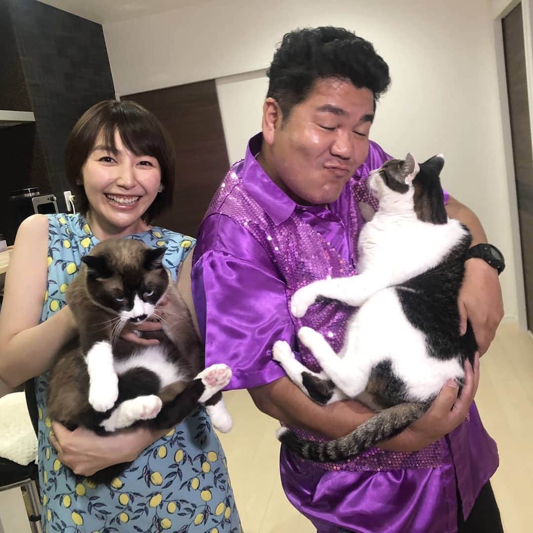 のインスタグラム：「. 本日#ゴリおし です🎵 見てね見てねっ🙌 . . #可愛い猫ちゃんが登場します」