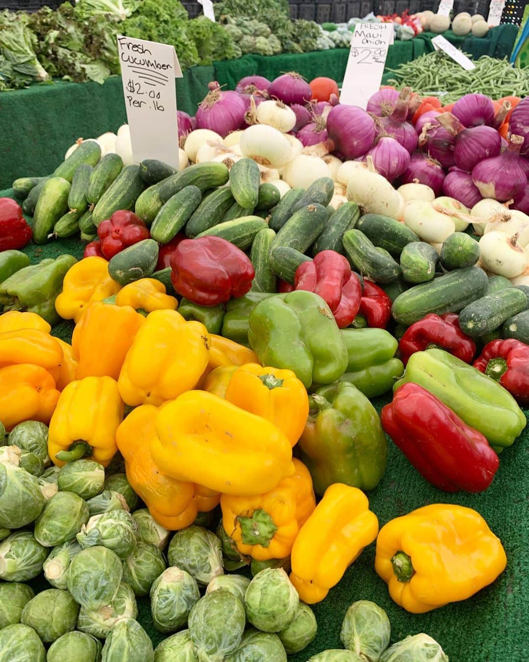 高木りなさんのインスタグラム写真 - (高木りなInstagram)「Farmers market on weekend🍅🥬🍓🥑🍋🍑🥕 週末はファーマーズマーケットへ。新鮮なお野菜を見てるだけで気分が上がる！ちなみにオクラをたくさん買いました🙌🏻 . . . #파머즈마켓 #주말 #엘에이 #로스앤젤레스 #캘리포니아 #미국생활 #ファーマーズマーケット #週末 #ロス #ロサンゼルス #カリフォルニア ##farmersmarket #weekend #losangeles #california #calilife」8月19日 10時20分 - rinasvoyage