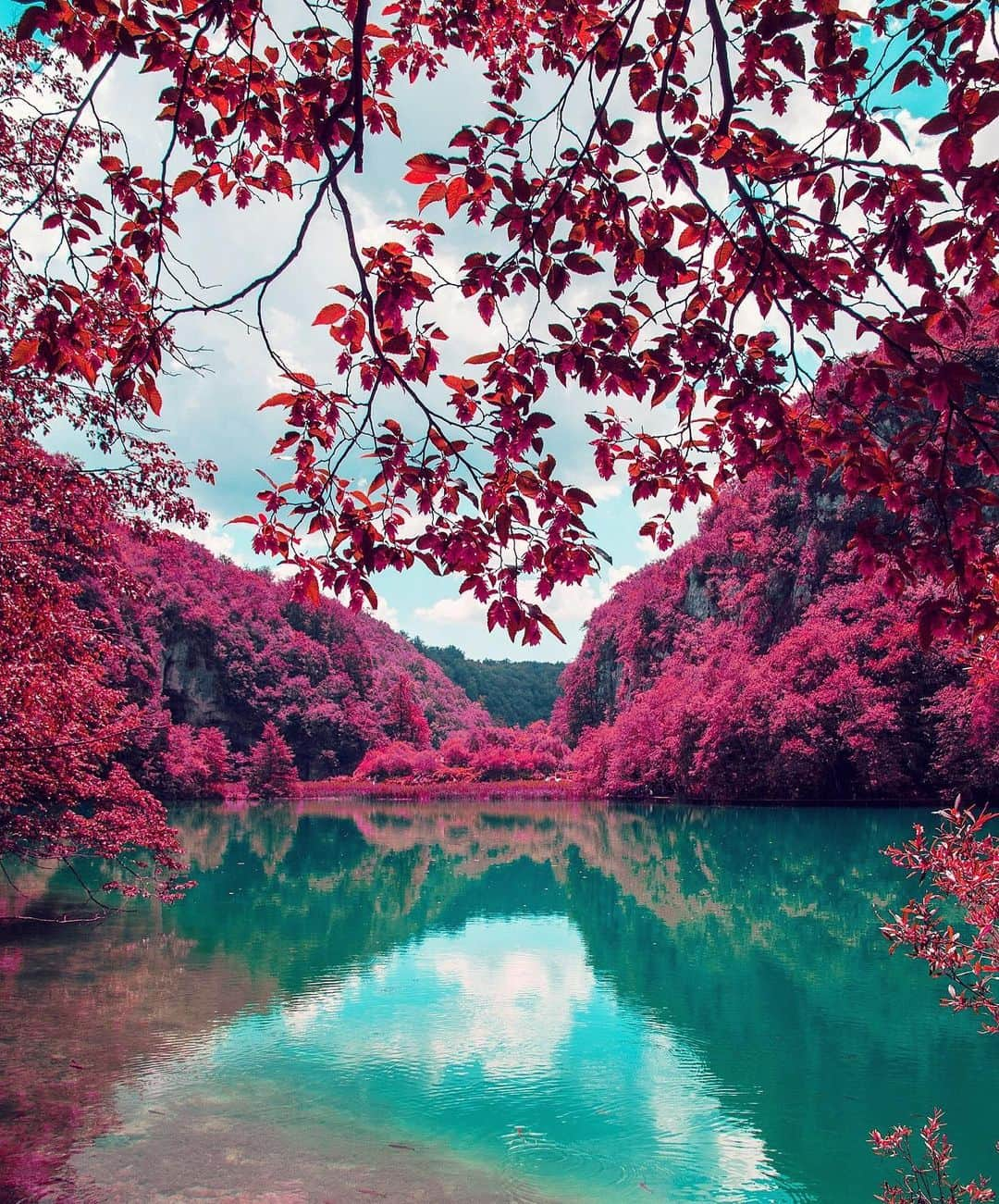 Hatice Korkmaz The Color Queenのインスタグラム：「Pinky sunday😁💝 #plitvicelakes #croatia #nature #color #love」