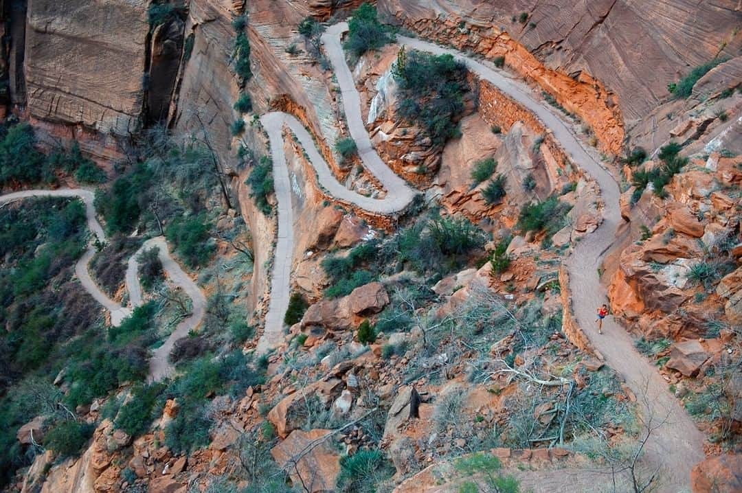 patagoniaさんのインスタグラム写真 - (patagoniaInstagram)「A rare moment of solitude on one of Zion National Park’s busiest thoroughfares. Photo: @ladzinski⁠」8月19日 2時10分 - patagonia