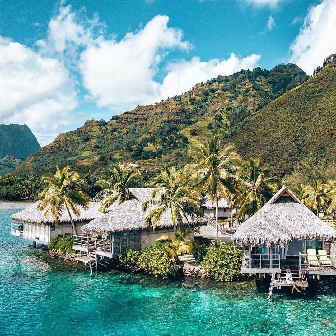 BEAUTIFUL HOTELSさんのインスタグラム写真 - (BEAUTIFUL HOTELSInstagram)「Can you spot @andathousandwords on her deck? The InterContinental Moorea Resort & Spa blends in to the natural environment. The hotel has become a sanctuary for some of the marine life on the island, with a dolphin and sea turtle clinic! (📷: @andathousandwords 📍: InterContinental Moorea Resort & Spa , Tahiti)」8月19日 2時07分 - beautifulhotels