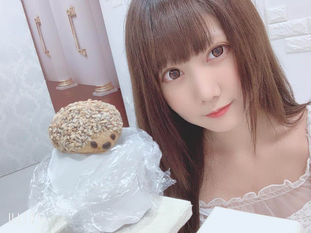 小鳥遊くれあさんのインスタグラム写真 - (小鳥遊くれあInstagram)「ハリネズミ！！めっっっっっちゃ可愛い！！！！！！ #日本 #福岡 #fukuoka #asia #asiangirls  #撮影モデル #被写体 #fashion #インフルエンサー #model #グラドル」8月19日 2時35分 - kurea_primo