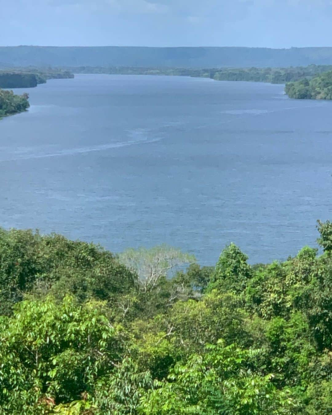 ルーカス・ディ・グラッシさんのインスタグラム写真 - (ルーカス・ディ・グラッシInstagram)「The sheer size of the #Amazon is mesmerizing.. In one weekend I visited #Belem #Santarem #AlterdoChao #MonteDourado #Jari and others. I spoke to government and local people. I saw thousands of km of river and jungle, and this is just one tiny little bit. If you have the chance #VisitAmazon It is unique and we have to preserve its beauty while helping local people prosper. ——— 🇧🇷 Esse fds eu visitei pela primeira vez à Amazônia. Fui em varias cidades e conversei com governo, agricultores e o povo que vive da floresta. Amazônia precisa ser preservada, é algo único, indescritível. E ao mesmo tempo o povo local precisa prosperar.🇧🇷」8月19日 3時10分 - lucasdigrassi