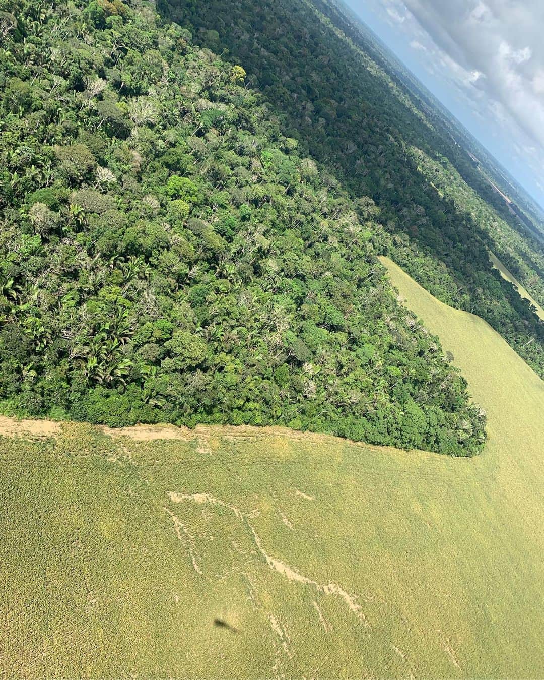 ルーカス・ディ・グラッシさんのインスタグラム写真 - (ルーカス・ディ・グラッシInstagram)「The sheer size of the #Amazon is mesmerizing.. In one weekend I visited #Belem #Santarem #AlterdoChao #MonteDourado #Jari and others. I spoke to government and local people. I saw thousands of km of river and jungle, and this is just one tiny little bit. If you have the chance #VisitAmazon It is unique and we have to preserve its beauty while helping local people prosper. ——— 🇧🇷 Esse fds eu visitei pela primeira vez à Amazônia. Fui em varias cidades e conversei com governo, agricultores e o povo que vive da floresta. Amazônia precisa ser preservada, é algo único, indescritível. E ao mesmo tempo o povo local precisa prosperar.🇧🇷」8月19日 3時10分 - lucasdigrassi