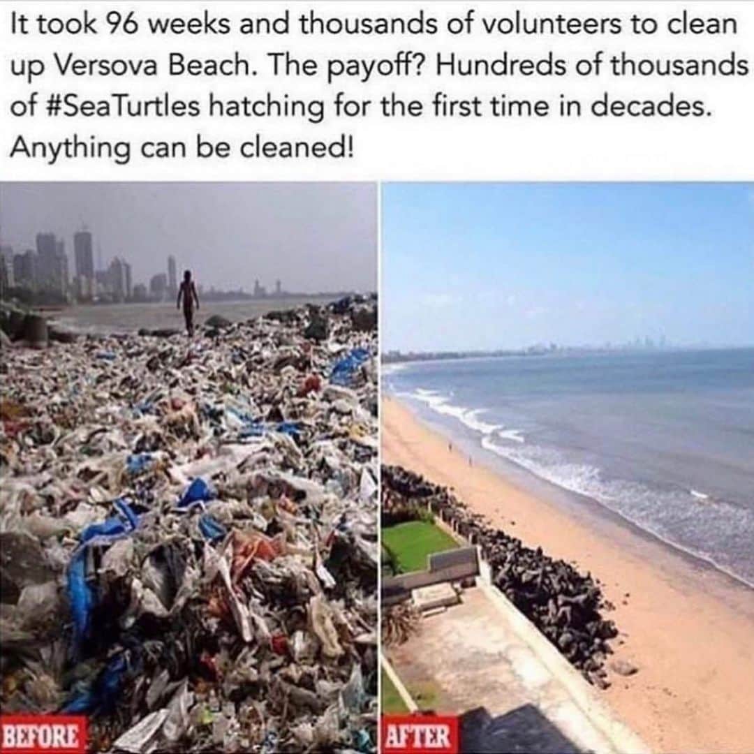 WildLifeのインスタグラム：「Follow @save0cean 💙  How great is this? These before and after photos made our day because it shows even the most polluted areas can be cleaned up when enough people work together and that allows wildlife to truly flourish! Never forget that while we humans are the problem that created so much waste in the first place, we can do better as we are also the solution and nature is so incredibly resilient it just needs to be given a chance! Please keep cleaning up the area in which you live and also keep doing beach cleanups and tagging us so we can repost you...let’s each do our part to make our planet better! Via @savethereef #beachcleanup #karmagawa #natureisamazing」