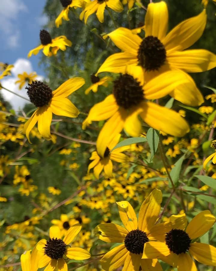 のインスタグラム：「Flower power!! #summertime bliss.」