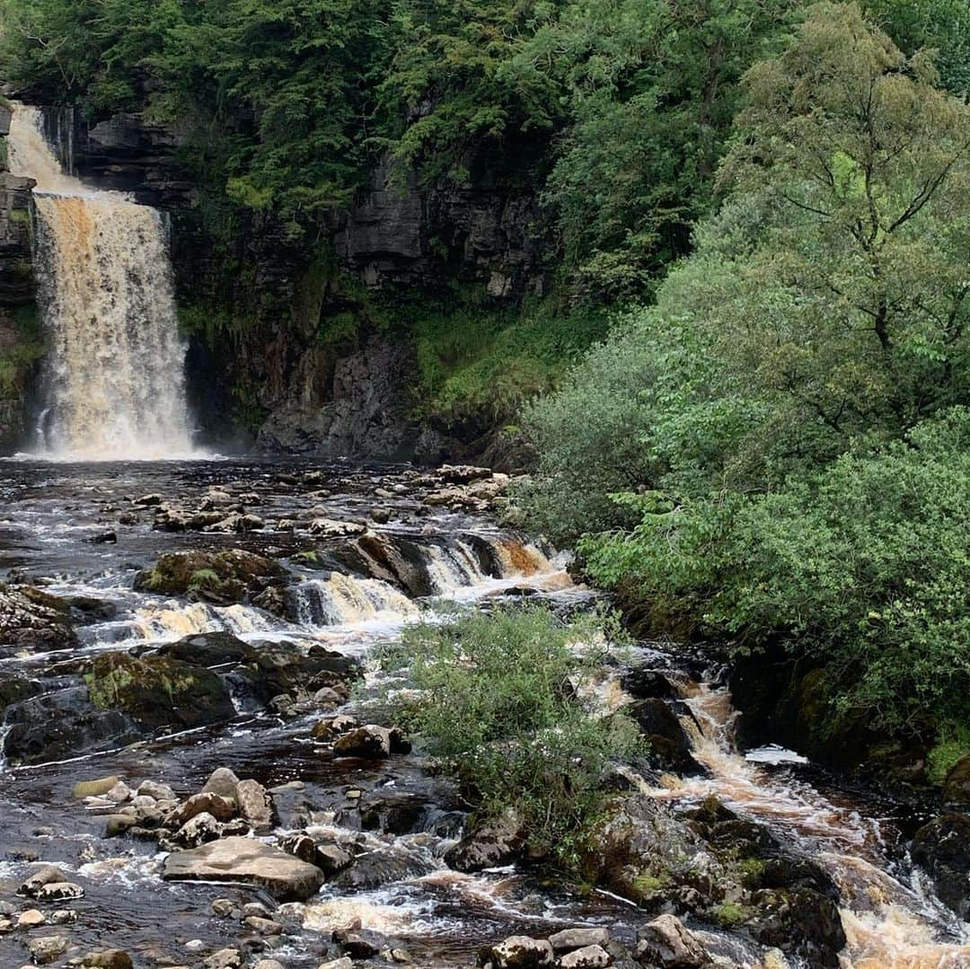 ジョーダン・モエラーさんのインスタグラム写真 - (ジョーダン・モエラーInstagram)「Another day off well spent! Went hiking through Ingleton Falls with these two lovely people 😊 @shelb_sylvester @jameshorrocks98  #ingletonfalls #england #nature #dayoff #wedidmoreexercise #worthit」8月19日 4時09分 - jomosk8