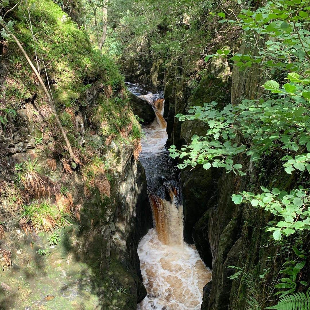 ジョーダン・モエラーさんのインスタグラム写真 - (ジョーダン・モエラーInstagram)「Another day off well spent! Went hiking through Ingleton Falls with these two lovely people 😊 @shelb_sylvester @jameshorrocks98  #ingletonfalls #england #nature #dayoff #wedidmoreexercise #worthit」8月19日 4時09分 - jomosk8