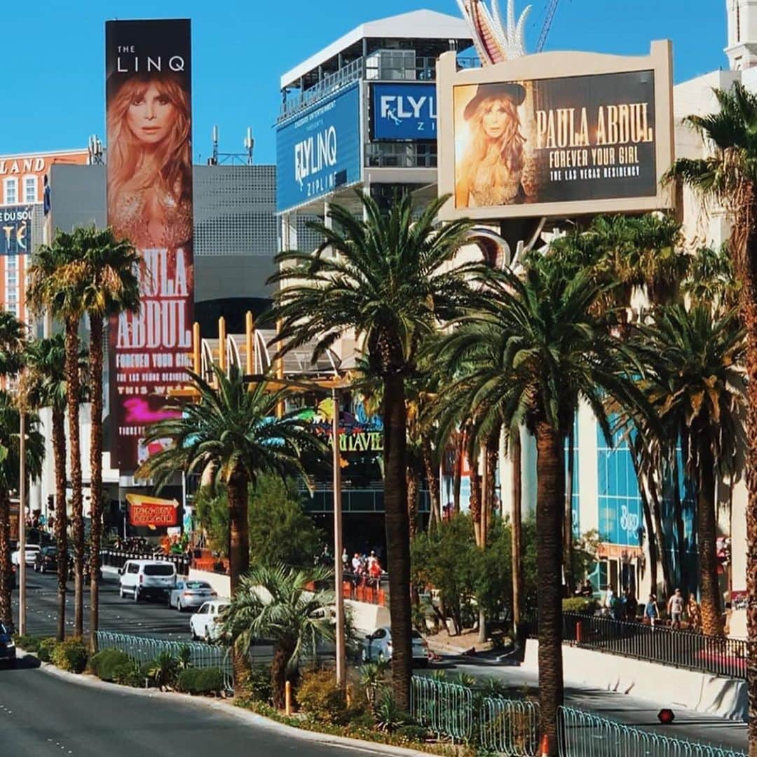 Nika Kljunさんのインスタグラム写真 - (Nika KljunInstagram)「Las Vegas, see you again in October! 🥂The first leg of  @paulaabdul ’s Las Vegas Residency #foreveryourgirl is officially done! 🤩 We have been working so hard to give you guys the best show possible. It’s been an honor to work with an icon who has such a high level of dedication to true performance QUALITY🙏🏻❤️ .  I have been choreographing for and working with Paula for a little while now, but in these moments, I still feel like someone needs to “pinch me”. . Long hours...days...weeks of creating and challenging our team to push the boundaries has not been an easy task...but “what is easy is seldom excellent” -(Samuel Johnson). . Everyone go congratulate Paula and a whole bunch of hard working team for an amazing and successful first leg! @nappytabs @thetheresamarie @itsbrittcherry @cameronlee88_ @tessandrachavez @reneeritch and the list goes on and on... 😇 Last but not least - a big applause 👏🏼 for our incredible dancers @tashymarconi (dance captain) @itsjovannisoto @christsatt @tloritz91 @dre_gary @janravnik @kellina___ @ashley_gonzo @nikkyparamo @peytonmatthias 👏🏼🌟 The show wouldn’t be the same without your absolute professionalism and excellence! I love you all to pieces! ❤️🤗 (we must take a group photo in October!!) . Get your tickets for October, November, December or January now because shows are selling out quickly! . #paulaabdul #foreveryourgirl #lasvegasshows #proudgirl #hardworkpaysoffs #notimeoff #iconliving #flamingohotel #iconicplaces #nikakljun #nikakljunchoreography #leadchoreographer #msafam #forevergrateful #lovethisfamily #hardworkers」8月19日 4時40分 - nikakljun