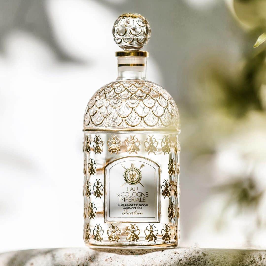 ゲランさんのインスタグラム写真 - (ゲランInstagram)「Did you know? The #Guerlain Bee Bottle was created in 1853 by glassmakers Pochet & du Courval to house our Eau de Cologne created specially for French Empress Eugenia. Adorned with golden bees, can you guess how many decorate this iconic creation? ⠀⠀⠀⠀⠀⠀⠀⠀⠀⠀⠀⠀ #guerlain #guerlainparfumer #perfume #sotd #scent #scentlovers #france」8月19日 4時43分 - guerlain