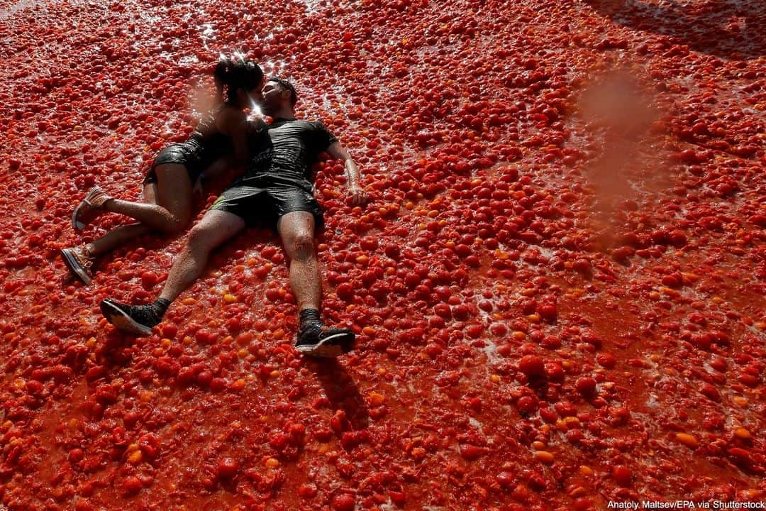 ABC Newsさんのインスタグラム写真 - (ABC NewsInstagram)「A couple kisses as they lay amid a sea of crushed tomatoes. The famous Spanish tomato fight 'Tomatina' was held over the weekend for the first time in St. Petersburg, Russia. #tomatoes #tomatina #spain #russia #tradition」8月19日 4時56分 - abcnews